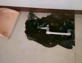 宣城市卫生间测漏水多少钱